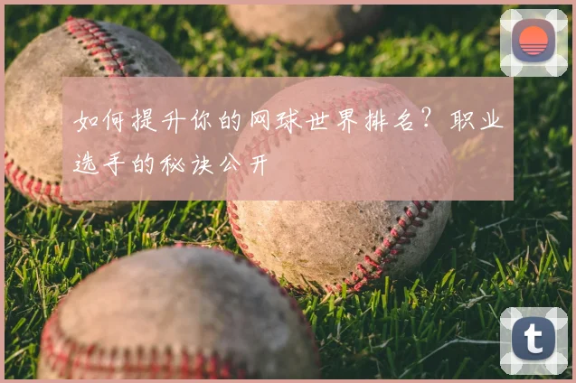如何提升你的网球世界排名？职业选手的秘诀公开
