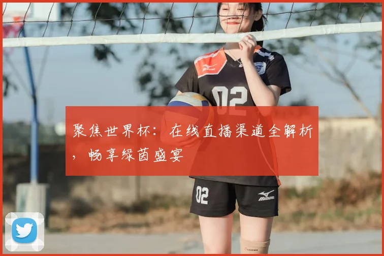 聚焦世界杯:在线直播渠道全解析,畅享绿茵盛宴